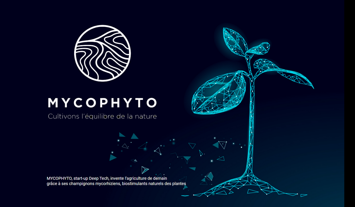 Mycophito